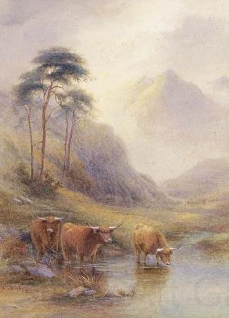 unknow artist Highland cattle in a stream Norge oil painting art